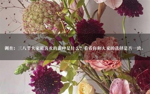 调查：三八节大家最喜欢的花种是什么？看看你和大家的选择是否一致。