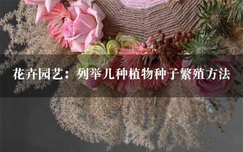 花卉园艺：列举几种植物种子繁殖方法