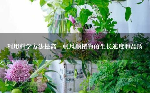 利用科学方法提高一帆风顺植物的生长速度和品质