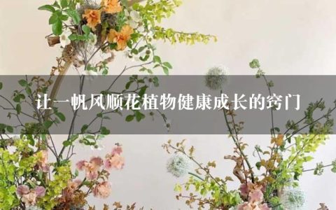 让一帆风顺花植物健康成长的窍门