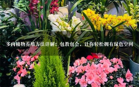 多肉植物养殖方法详解：包教包会，让你轻松拥有绿色空间