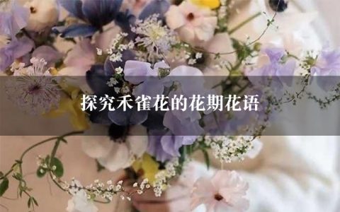 探究禾雀花的花期花语