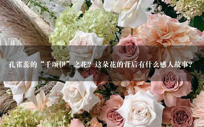 孔雀蕊的“千颂伊”之花？这朵花的背后有什么感人故事？