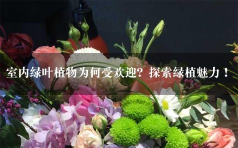 室内绿叶植物为何受欢迎？探索绿植魅力！