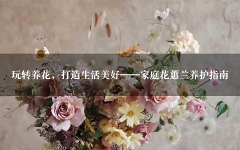 玩转养花，打造生活美好——家庭花蕙兰养护指南