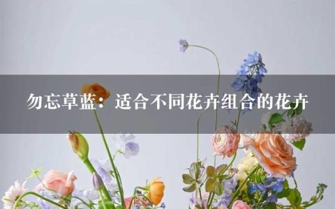 勿忘草蓝：适合不同花卉组合的花卉