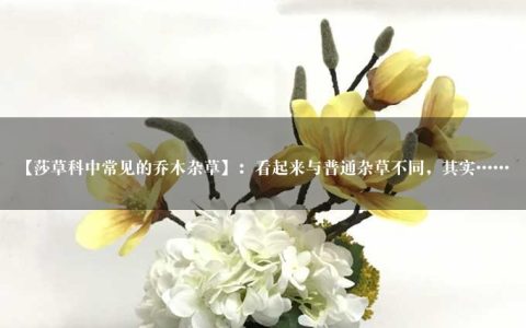 【莎草科中常见的乔木杂草】：看起来与普通杂草不同，其实……