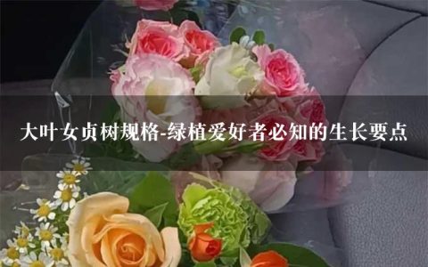 大叶女贞树规格-绿植爱好者必知的生长要点