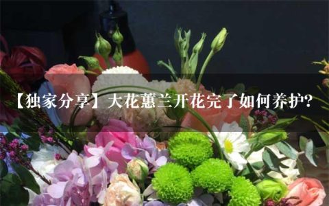 【独家分享】大花蕙兰开花完了如何养护？