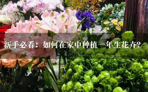 新手必看：如何在家中种植一年生花卉？