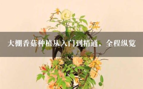 大棚香菇种植从入门到精通，全程纵览