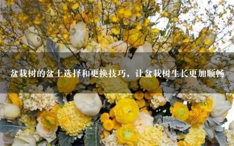 盆栽树的盆土选择和更换技巧，让盆栽树生长更加顺畅