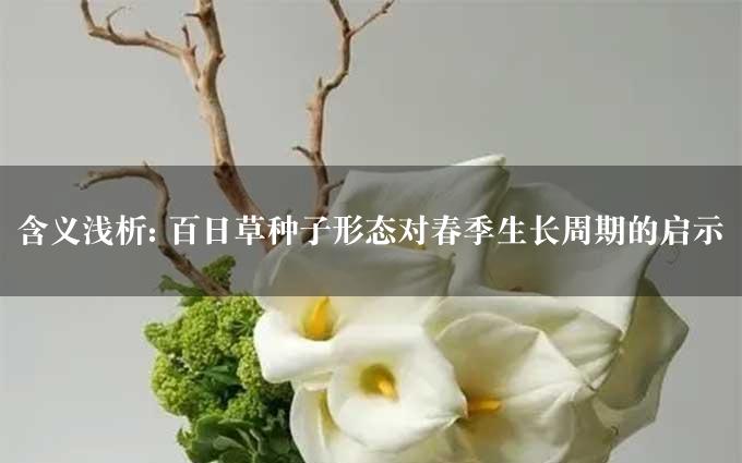 含义浅析: 百日草种子形态对春季生长周期的启示