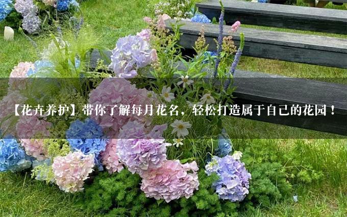 【花卉养护】带你了解每月花名，轻松打造属于自己的花园！