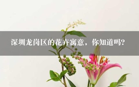 深圳龙岗区的花卉寓意，你知道吗？