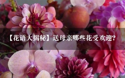 【花语大揭秘】送母亲哪些花受欢迎？