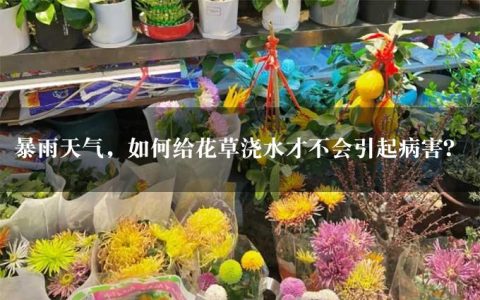 暴雨天气，如何给花草浇水才不会引起病害？