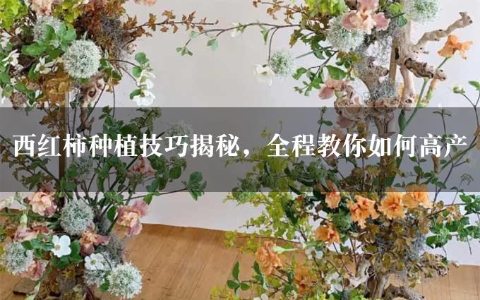 西红柿种植技巧揭秘，全程教你如何高产