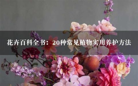 花卉百科全书：20种常见植物实用养护方法