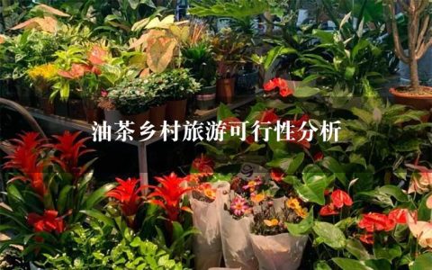 油茶乡村旅游可行性分析