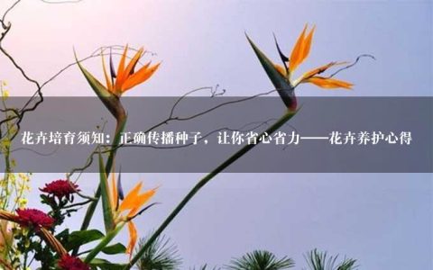 花卉培育须知：正确传播种子，让你省心省力——花卉养护心得