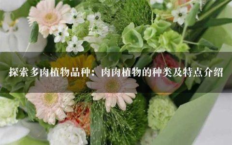 探索多肉植物品种：肉肉植物的种类及特点介绍