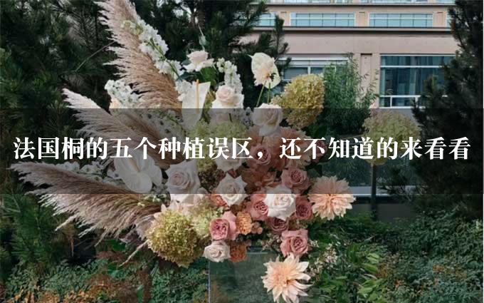 法国桐的五个种植误区，还不知道的来看看