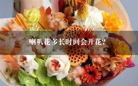 喇叭花多长时间会开花？