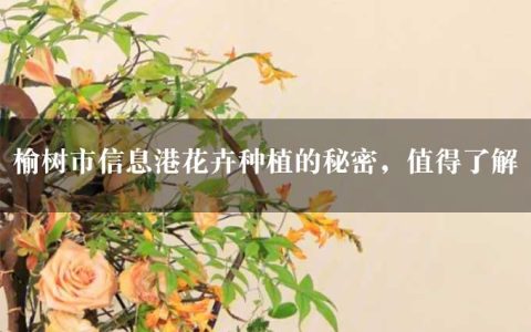 榆树市信息港花卉种植的秘密，值得了解