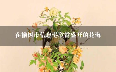 在榆树市信息港欣赏盛开的花海