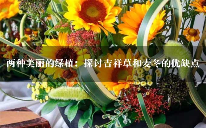 两种美丽的绿植：探讨吉祥草和麦冬的优缺点