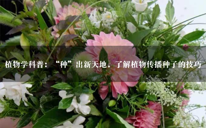 植物学科普：“种”出新天地，了解植物传播种子的技巧