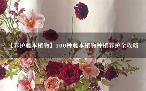 【养护藤本植物】100种藤本植物种植养护全攻略