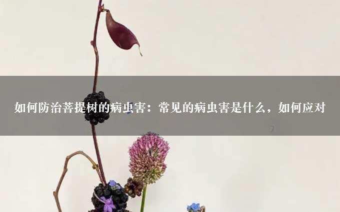 如何防治菩提树的病虫害：常见的病虫害是什么，如何应对