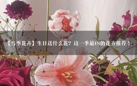 【当季花卉】生日送什么花？这一季最IN的花卉推荐！