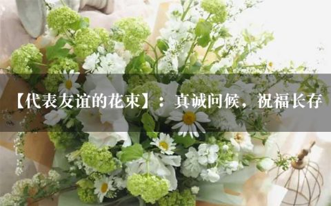 【代表友谊的花束】：真诚问候，祝福长存