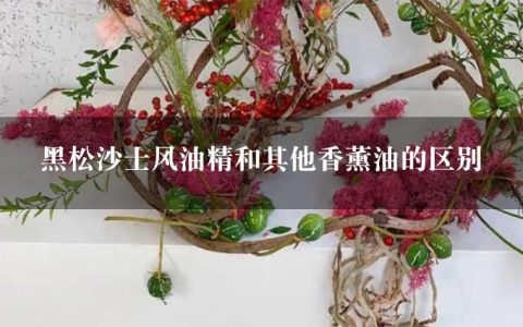 黑松沙士风油精和其他香薰油的区别