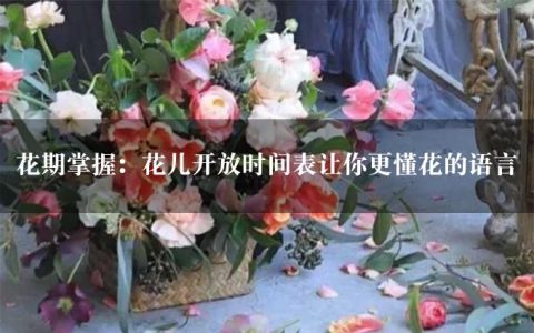 花期掌握：花儿开放时间表让你更懂花的语言