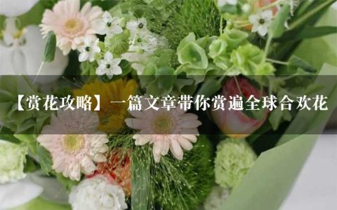 【赏花攻略】一篇文章带你赏遍全球合欢花