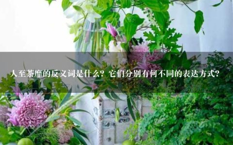 人至荼靡的反义词是什么？它们分别有何不同的表达方式？