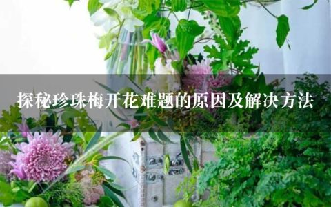 探秘珍珠梅开花难题的原因及解决方法