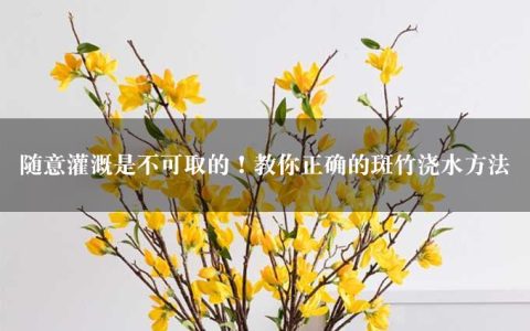 随意灌溉是不可取的！教你正确的斑竹浇水方法