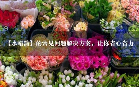 【水蜡篱】的常见问题解决方案，让你省心省力