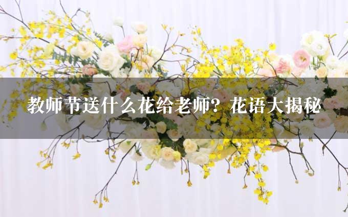 教师节送什么花给老师？花语大揭秘