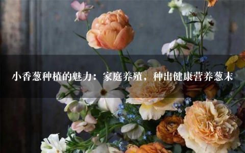 小香葱种植的魅力：家庭养殖，种出健康营养葱末