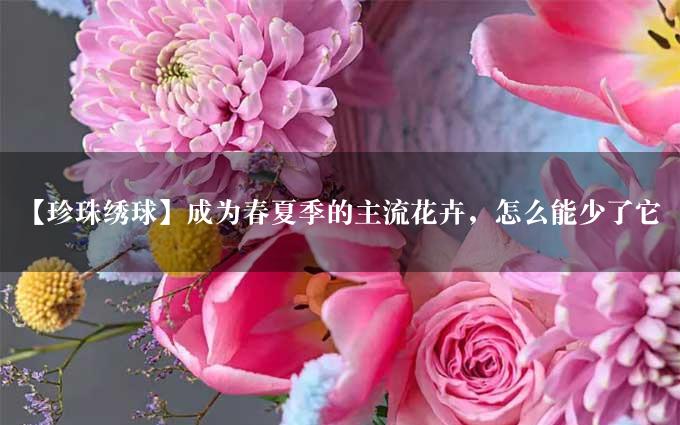 【珍珠绣球】成为春夏季的主流花卉，怎么能少了它