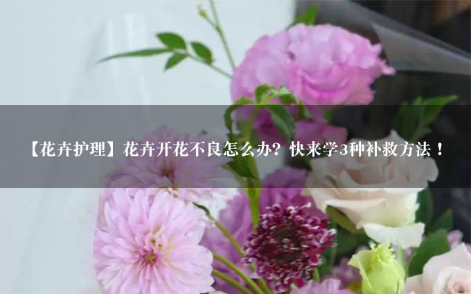 【花卉护理】花卉开花不良怎么办？快来学3种补救方法！