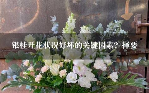 银桂开花状况好坏的关键因素？择要