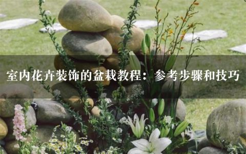 室内花卉装饰的盆栽教程：参考步骤和技巧