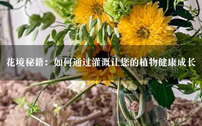 花境秘籍：如何通过灌溉让您的植物健康成长